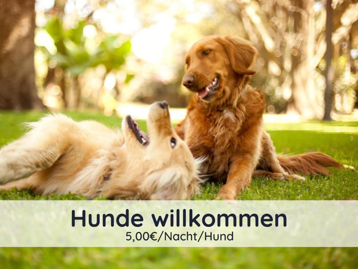 バート・ザクサDer Fuchsbau - Fewo Lepetit - Im Sonnigen Harz - Hunde Willkommen - 100M Bis Zum Wald - Free Wlanアパートメント エクステリア 写真