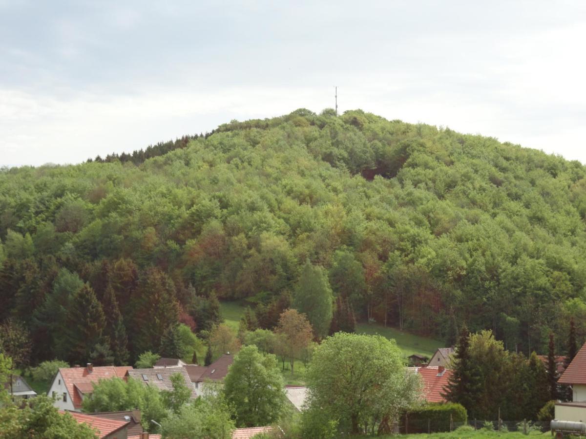 バート・ザクサDer Fuchsbau - Fewo Lepetit - Im Sonnigen Harz - Hunde Willkommen - 100M Bis Zum Wald - Free Wlanアパートメント エクステリア 写真